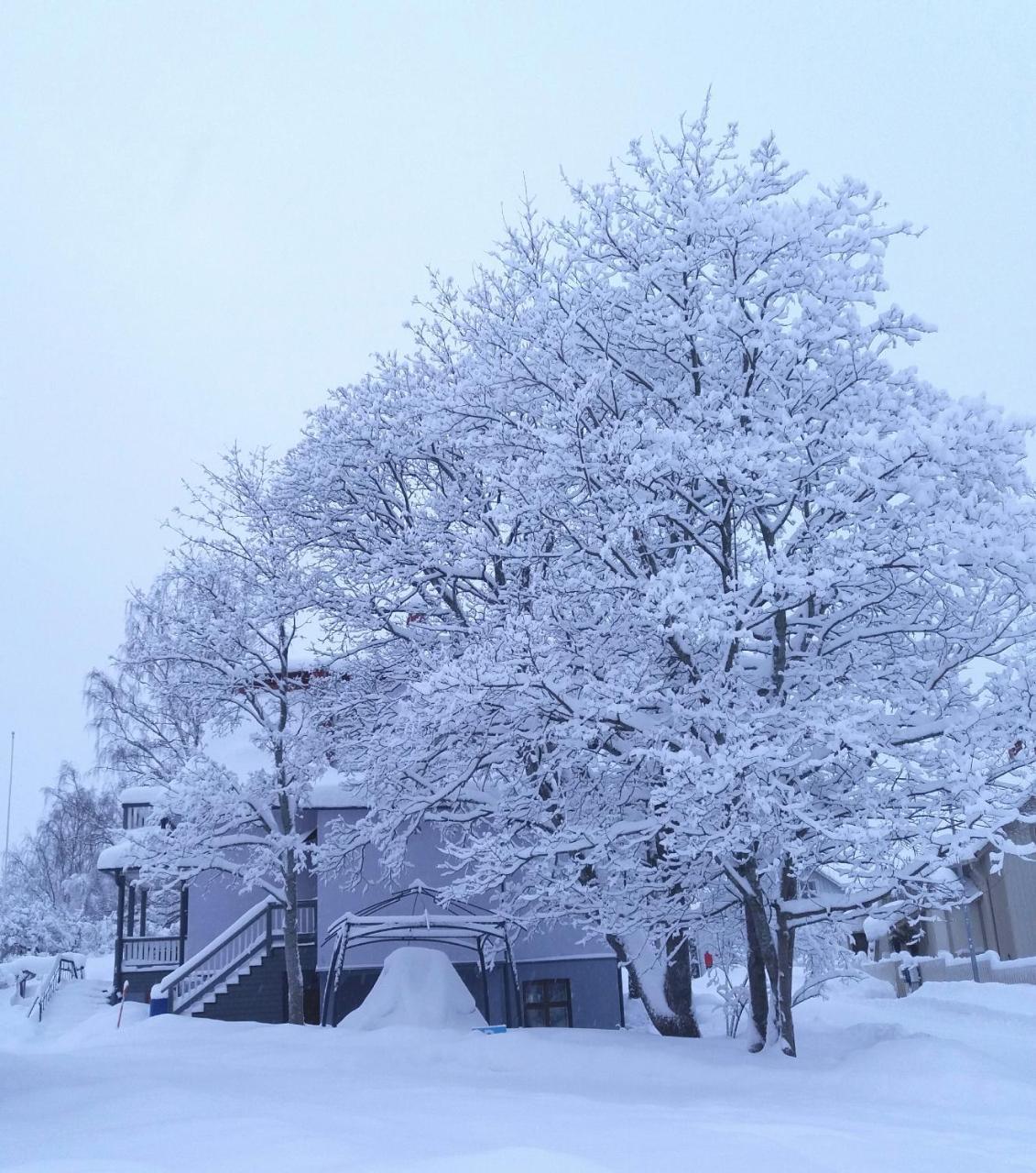Boutique Hotel Tavis, Check In Olavinkatu 8 Savonlinna Exterior foto